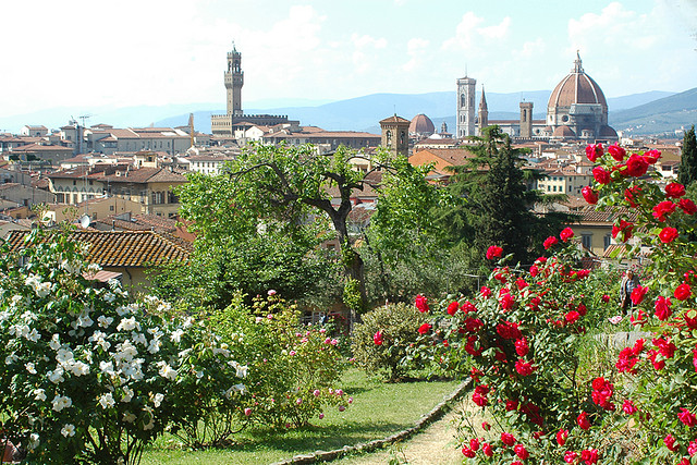 Firenze vista dal Giardino delle rose