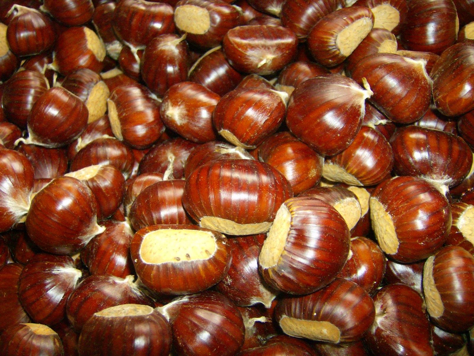 Chestnuts, typical products of autumn in Tuscany