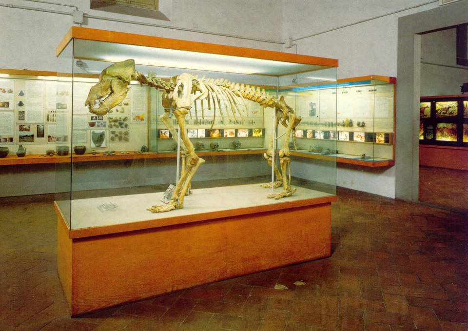museo-fiorentino-preistoria-Graziosi
