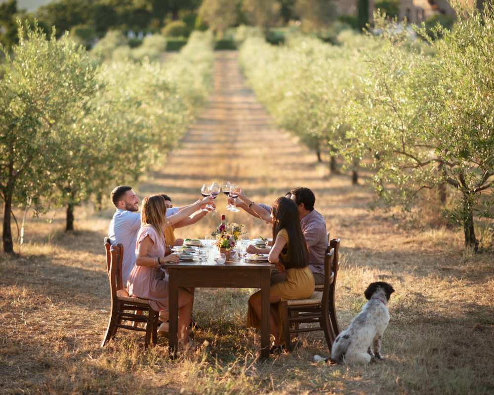 Lunch in the olive grove in Radicondoli