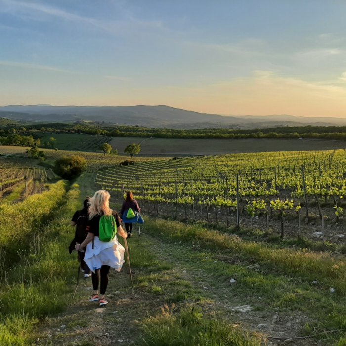 Trekking along the Chianti's vineyards