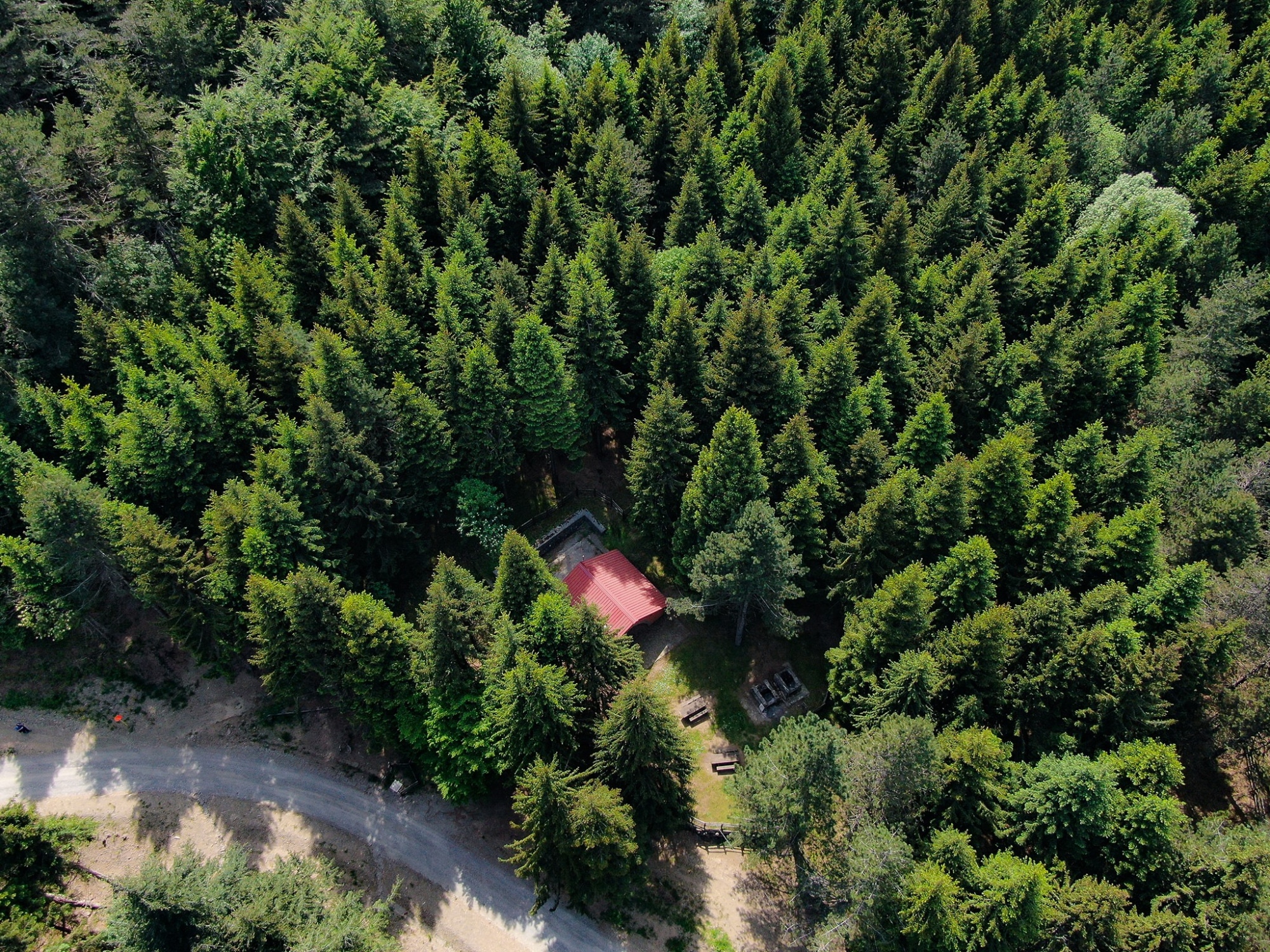 Luftaufnahme des Waldes des Brattello-Passes