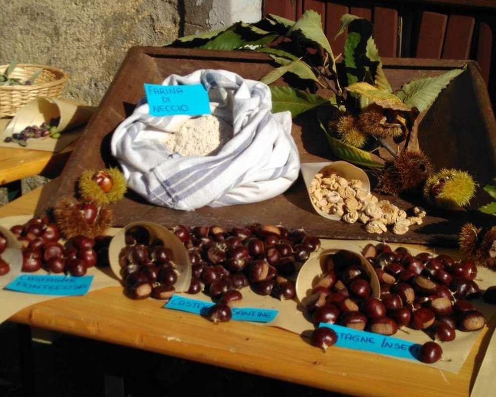 Garfagnana chestnuts and chestnut-based products