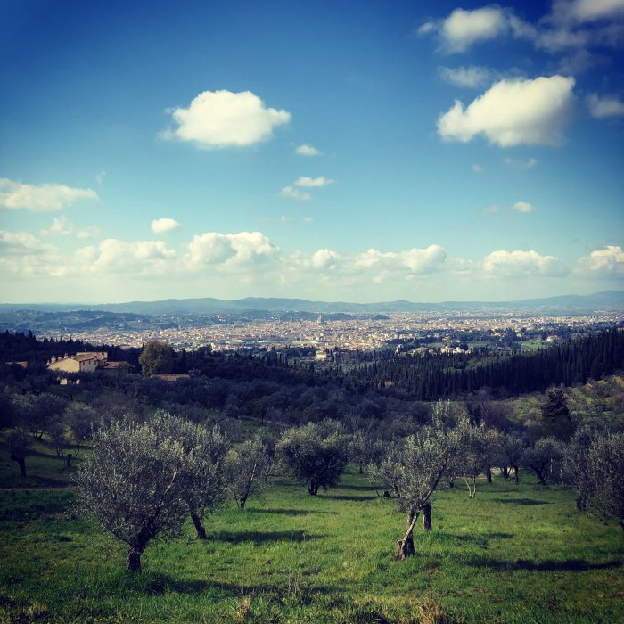 Walking in the hills of Florence