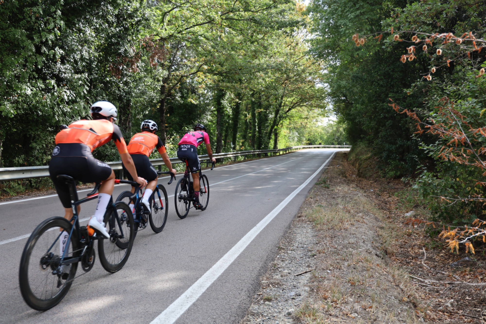 Cyclistes sur route de Castelfalfi à San Vivaldo