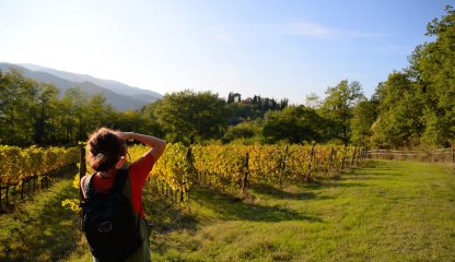 Hike & wine tour in Mugello