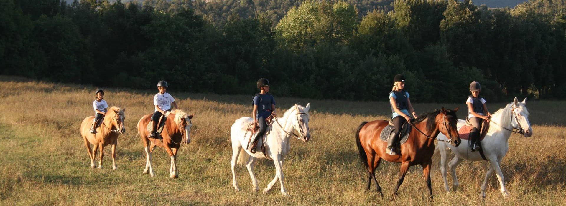 Gita a cavallo in Toscana Padule di Fucecchio