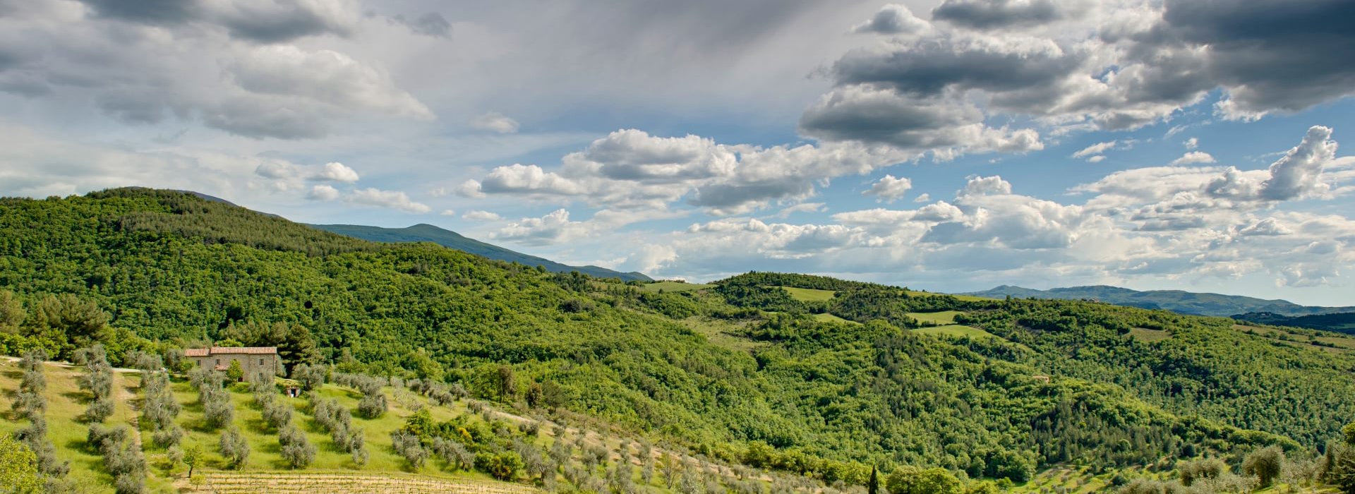 Bindozzino, una finca rural de 30 hectáreas.