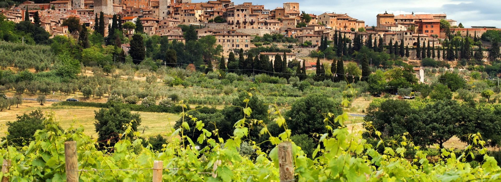 Tour de un día para descubrir algunos hermosos pueblos toscanos, incluido San Gimignano