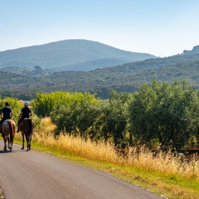 Horse riding in Val d'Orcia with tasting