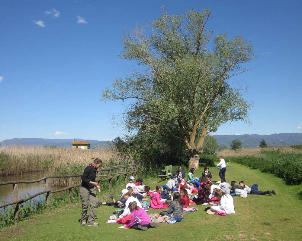 Visit to the Fucecchio Marshes
