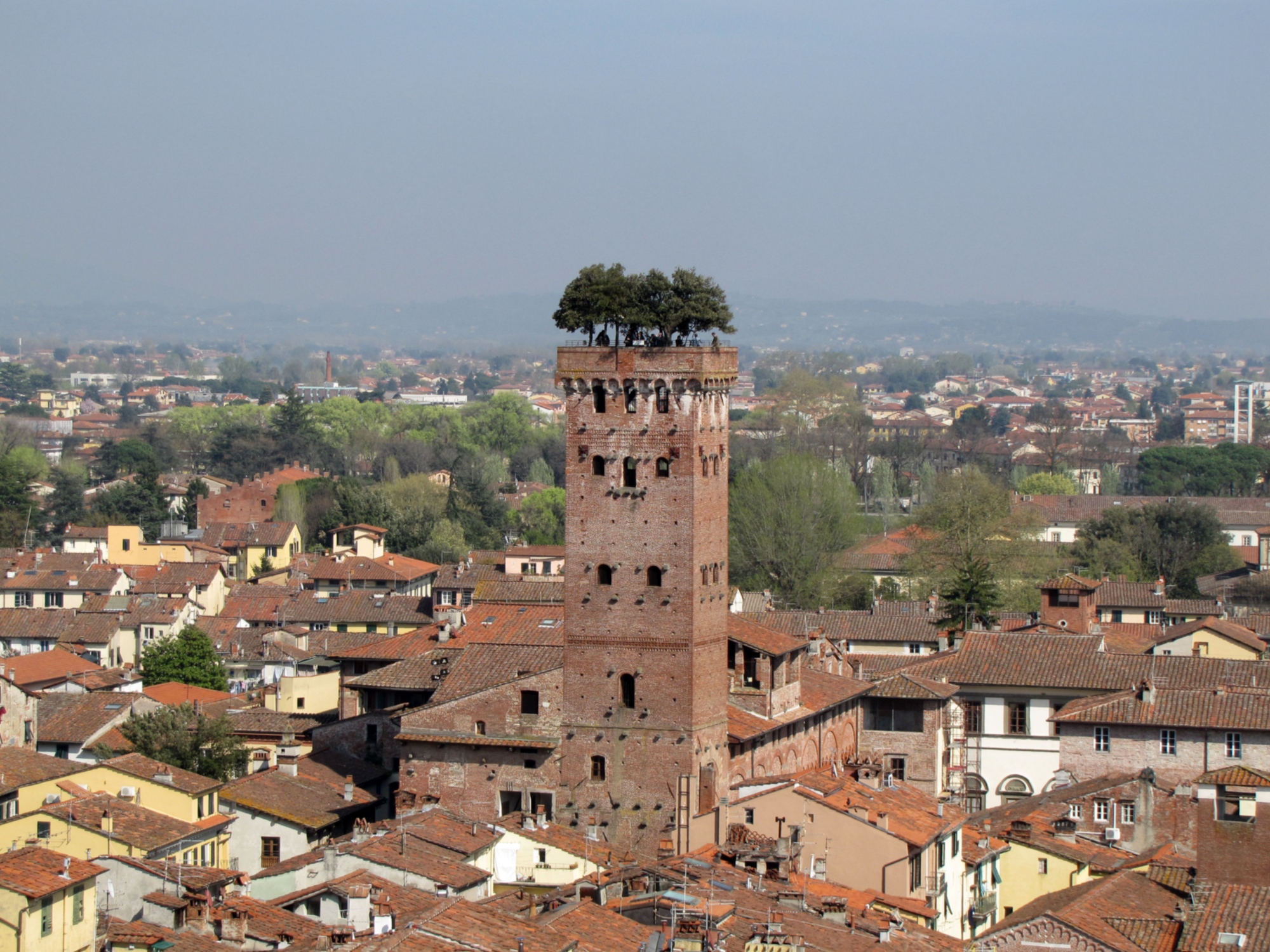 Die Torre Guinigi in Lucca