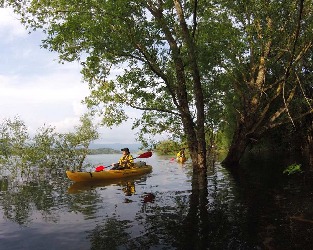 Kayak and SUP on Lake Bilancino
