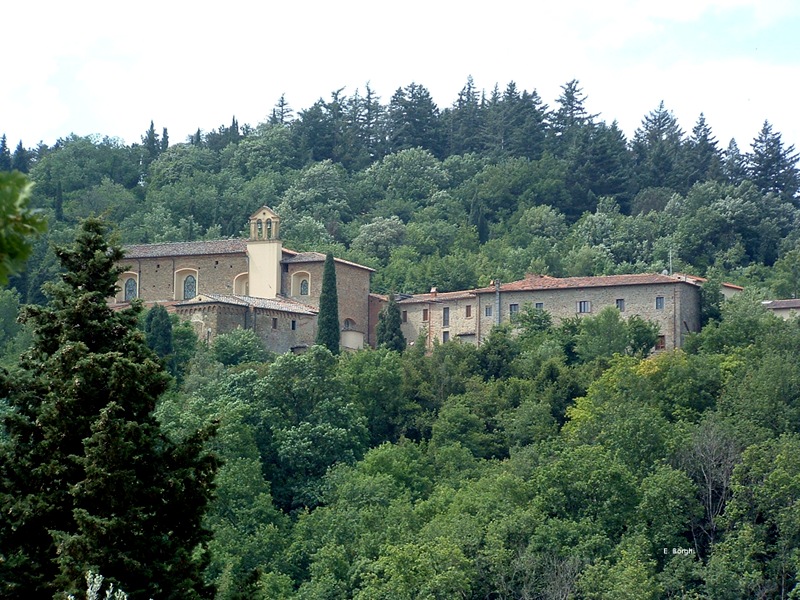 Zone naturelle protégée d'intérêt local Bosco di Sargiano