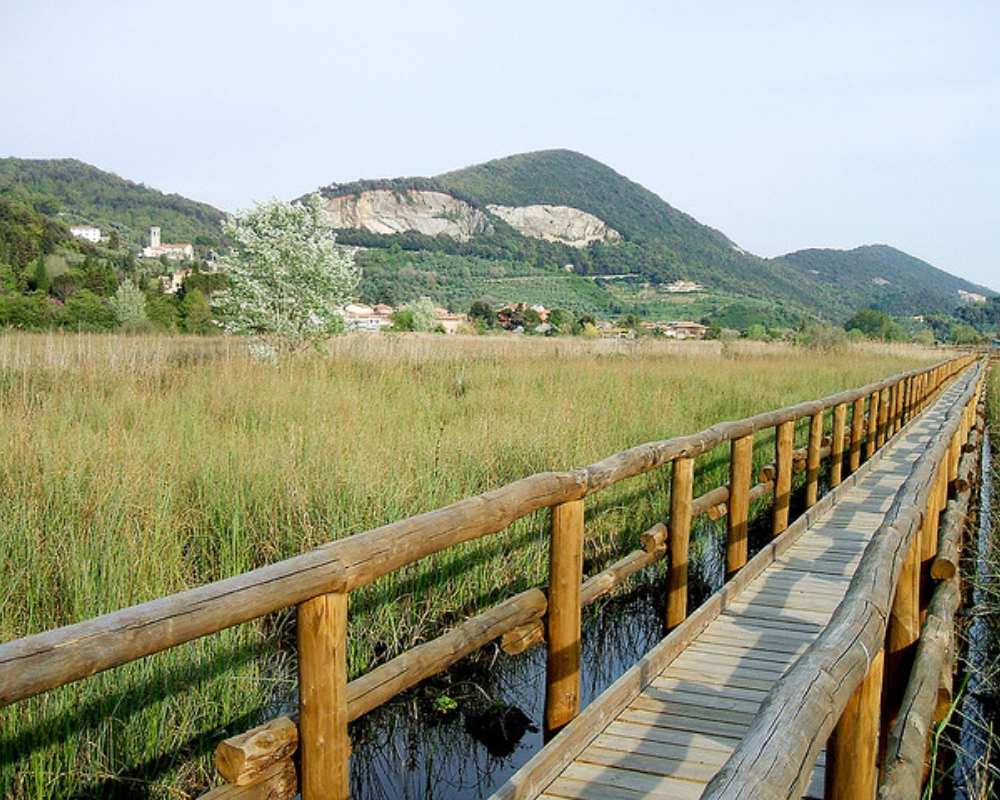 The San Rossore and Massaciuccoli Park