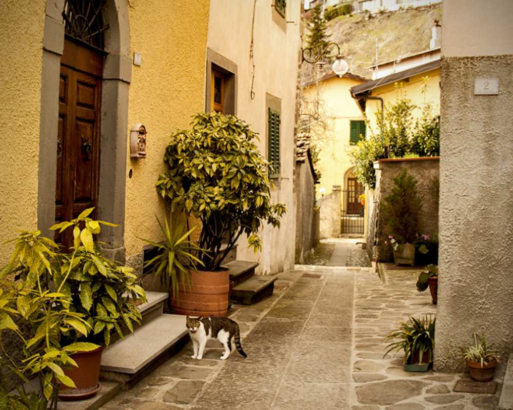 Streets of Cutigliano [Photo Credits: Serena Puosi - Photo Editing: Lara Musa]