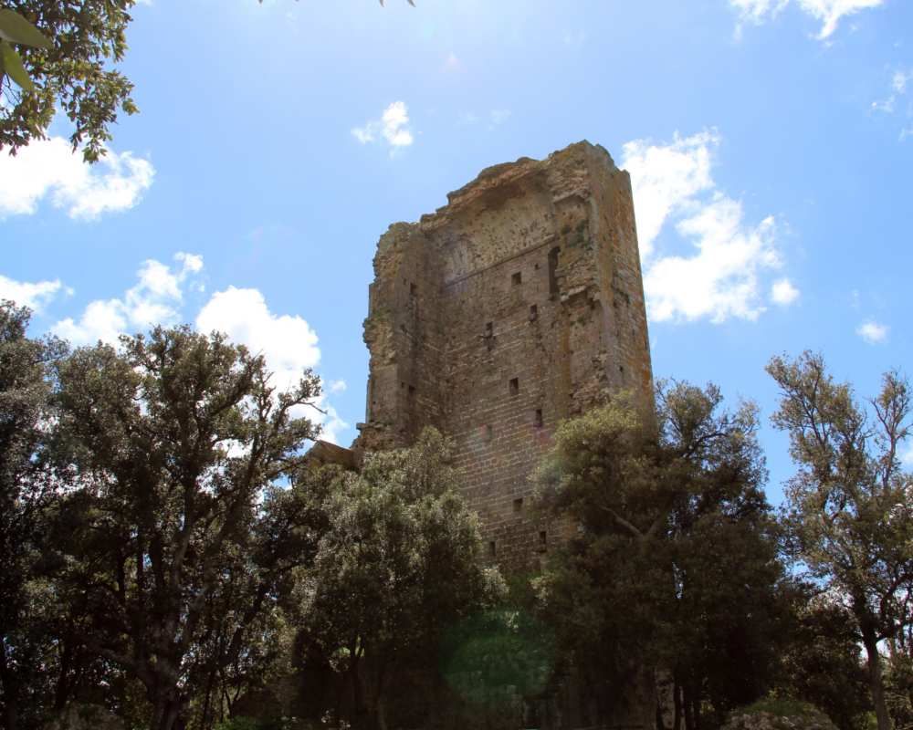 Ruderi del Castello di Donoratico