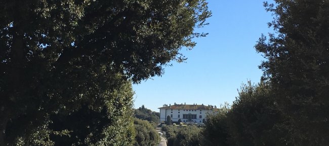 Artimino, il viale alberato e la Villa Medicea