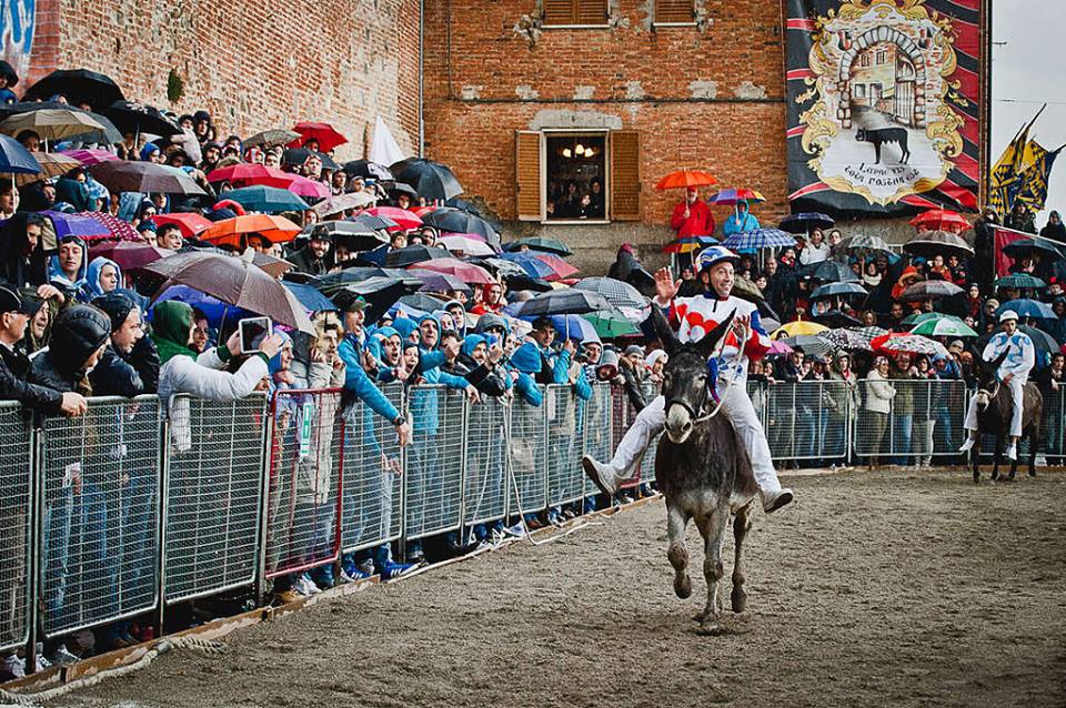 Donkeys Race in Torrita di Siena