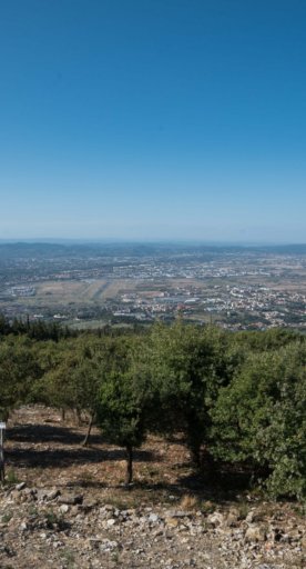 Vista da Monte Morello