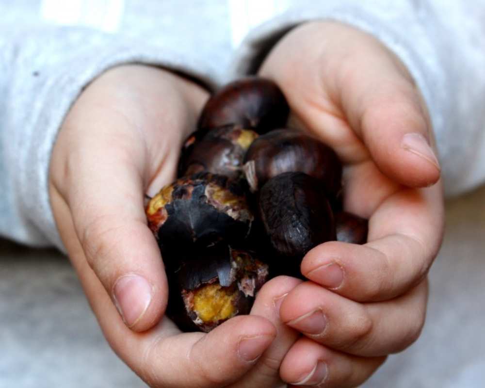 Mugello roasted chestnuts