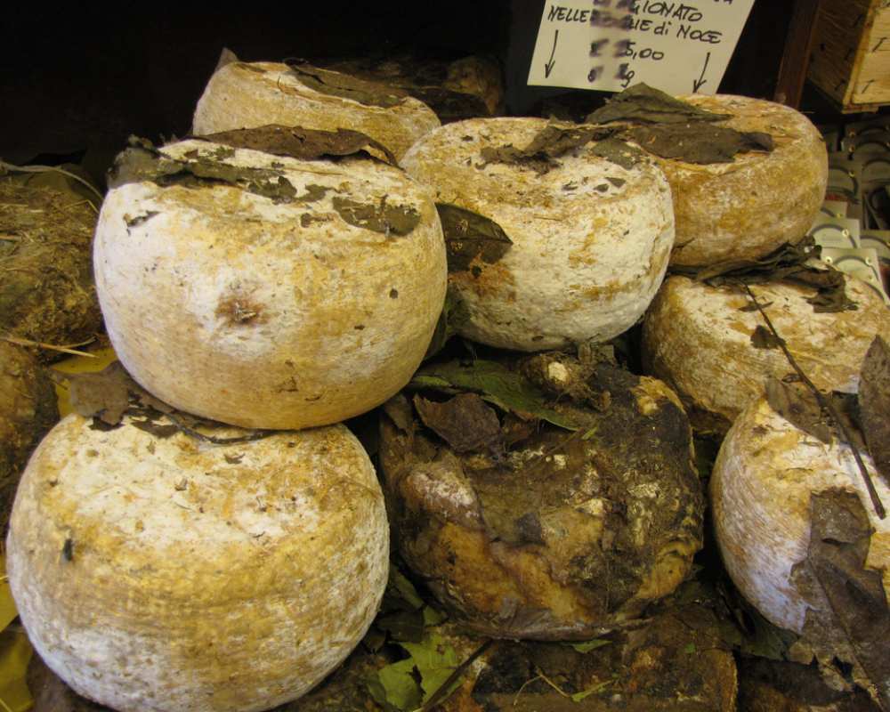 Pecorino aged with walnut leaves in terracotta jars
