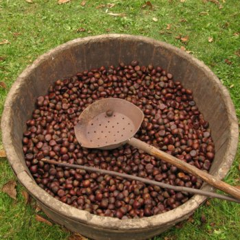 Garfagnana chestnuts
