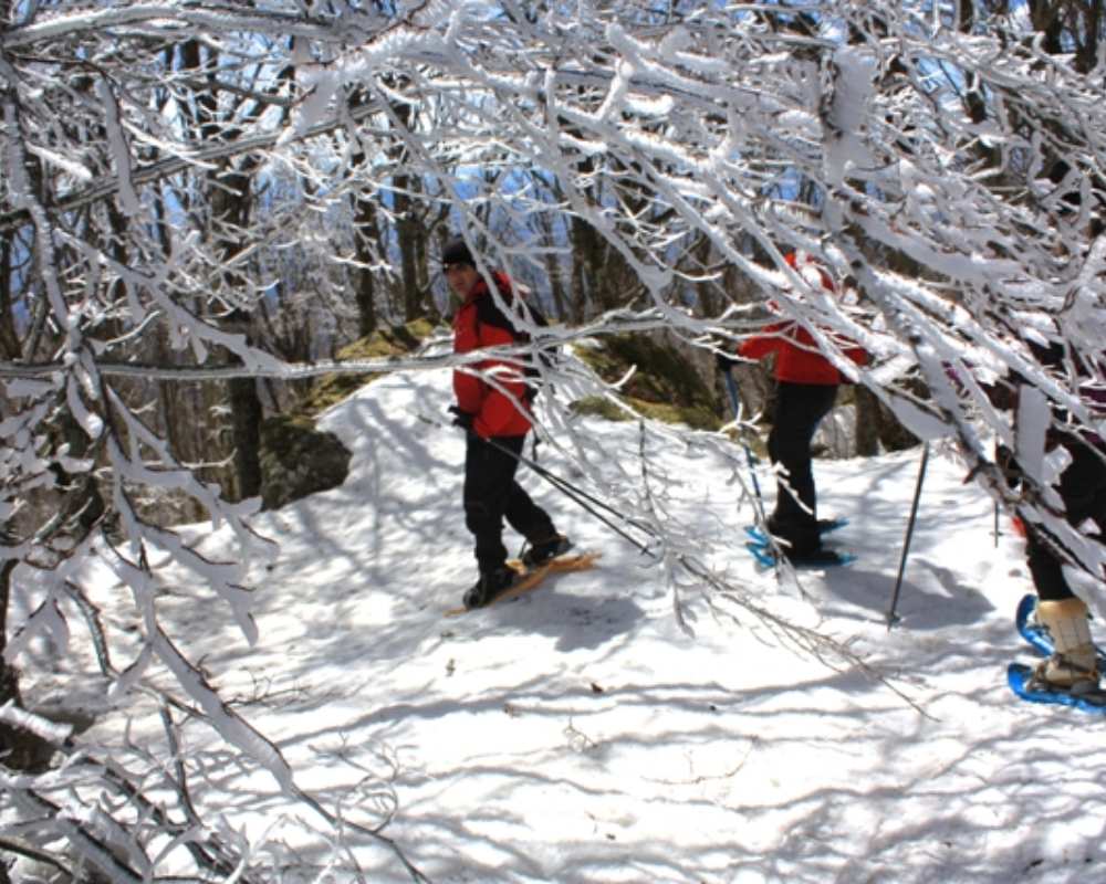 Snowshoeing on Mount Amiata
