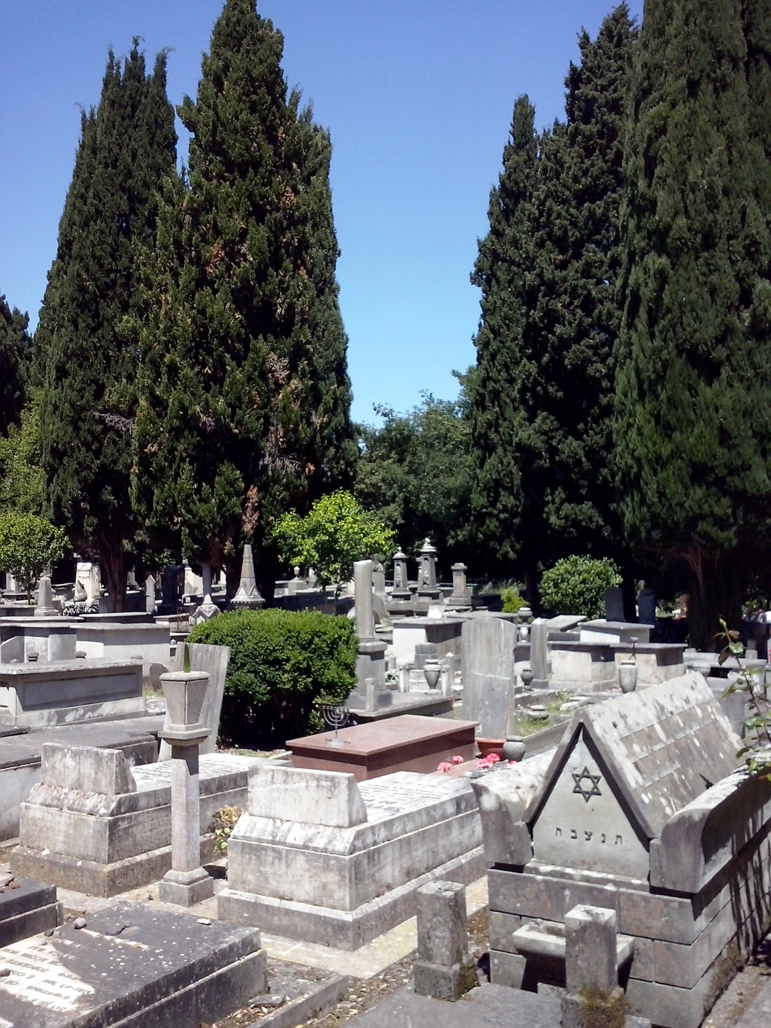 Cementerio Judío de Pisa