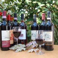 I vini di Carmignano