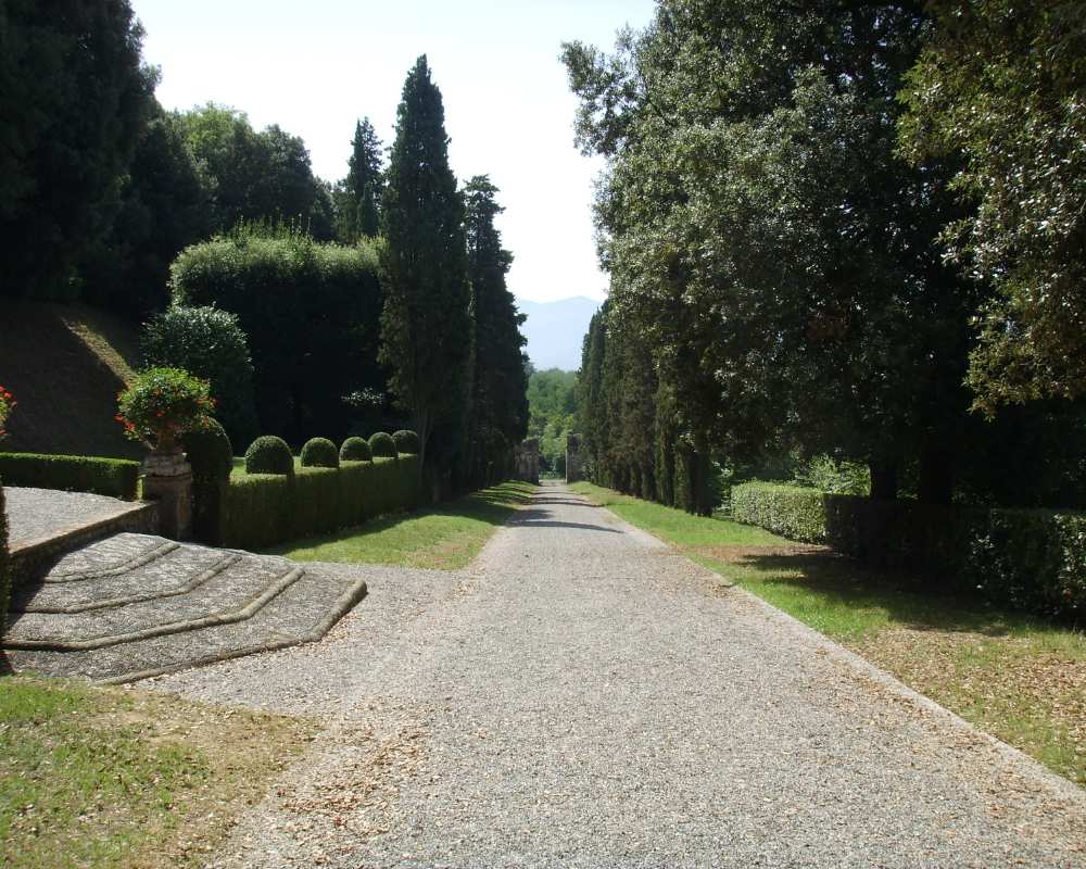 Villa Oliva à San Pancrazio