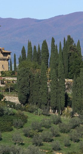 Castillo de Trebbio