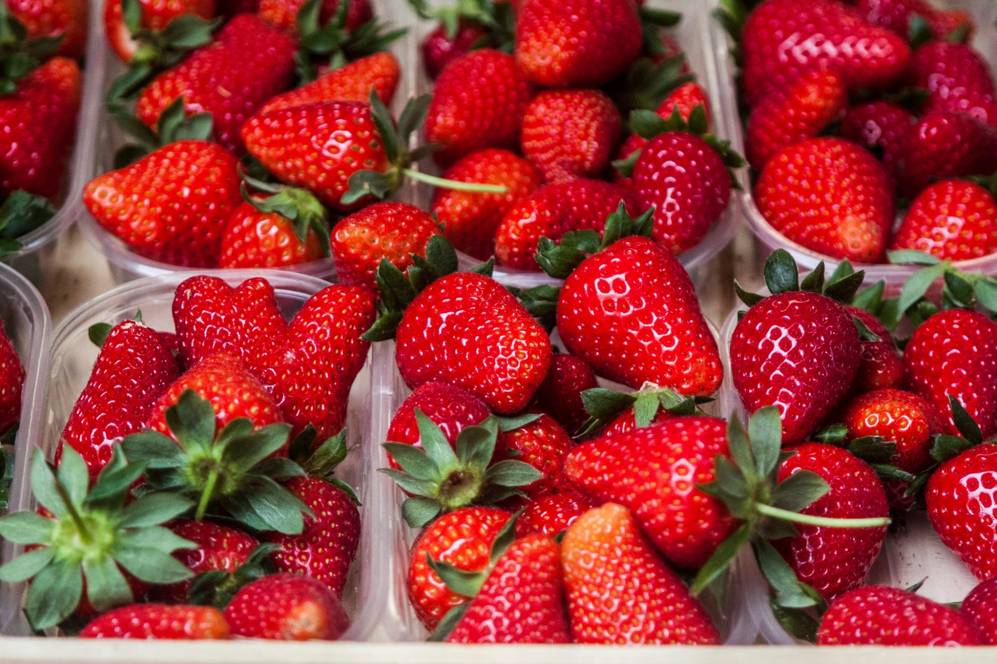 Terricciola strawberries