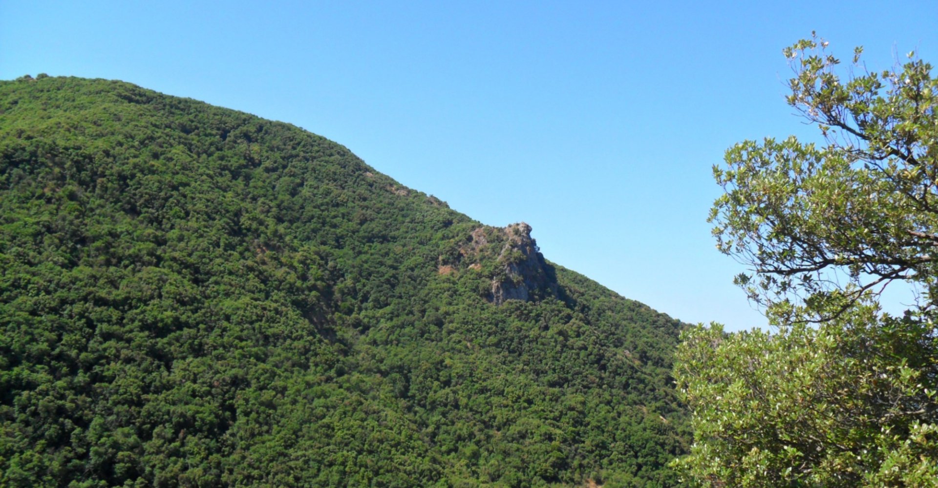 Riserva Naturale Regionale Montenero