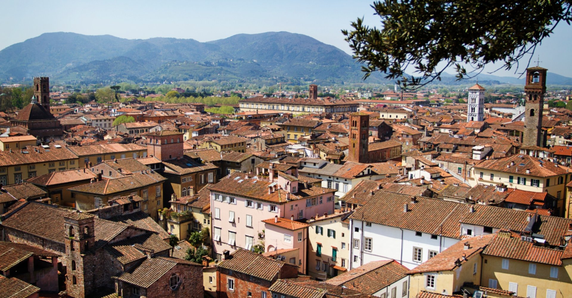 Lucca landscape