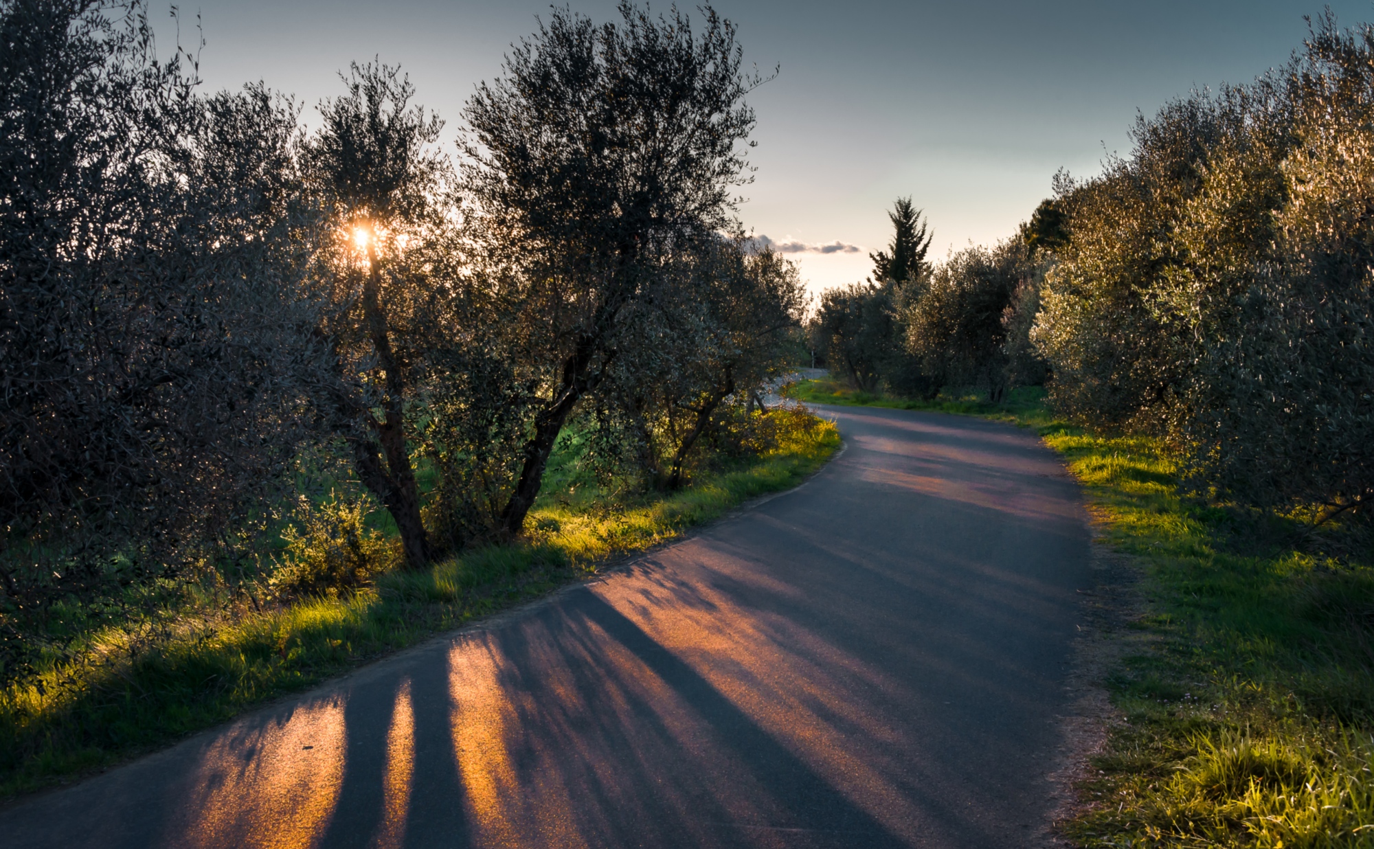 Road in Montaione