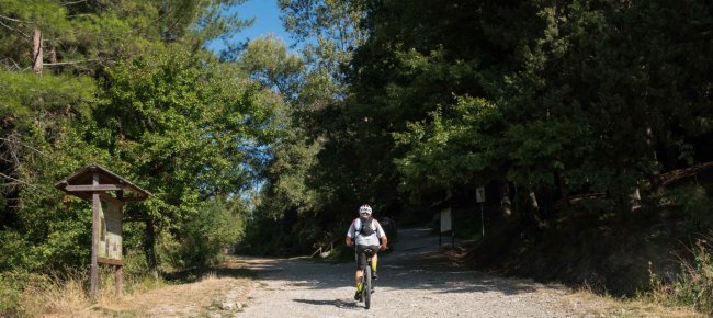 En bicicleta por el Monte Morello