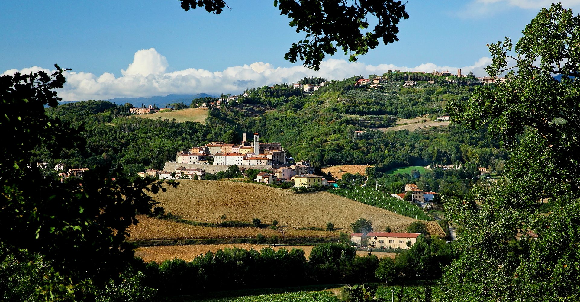 Monterchi landscape