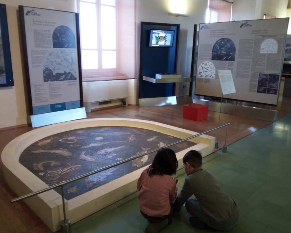 Museo Archeologico di Populonia mosaico dei pesci