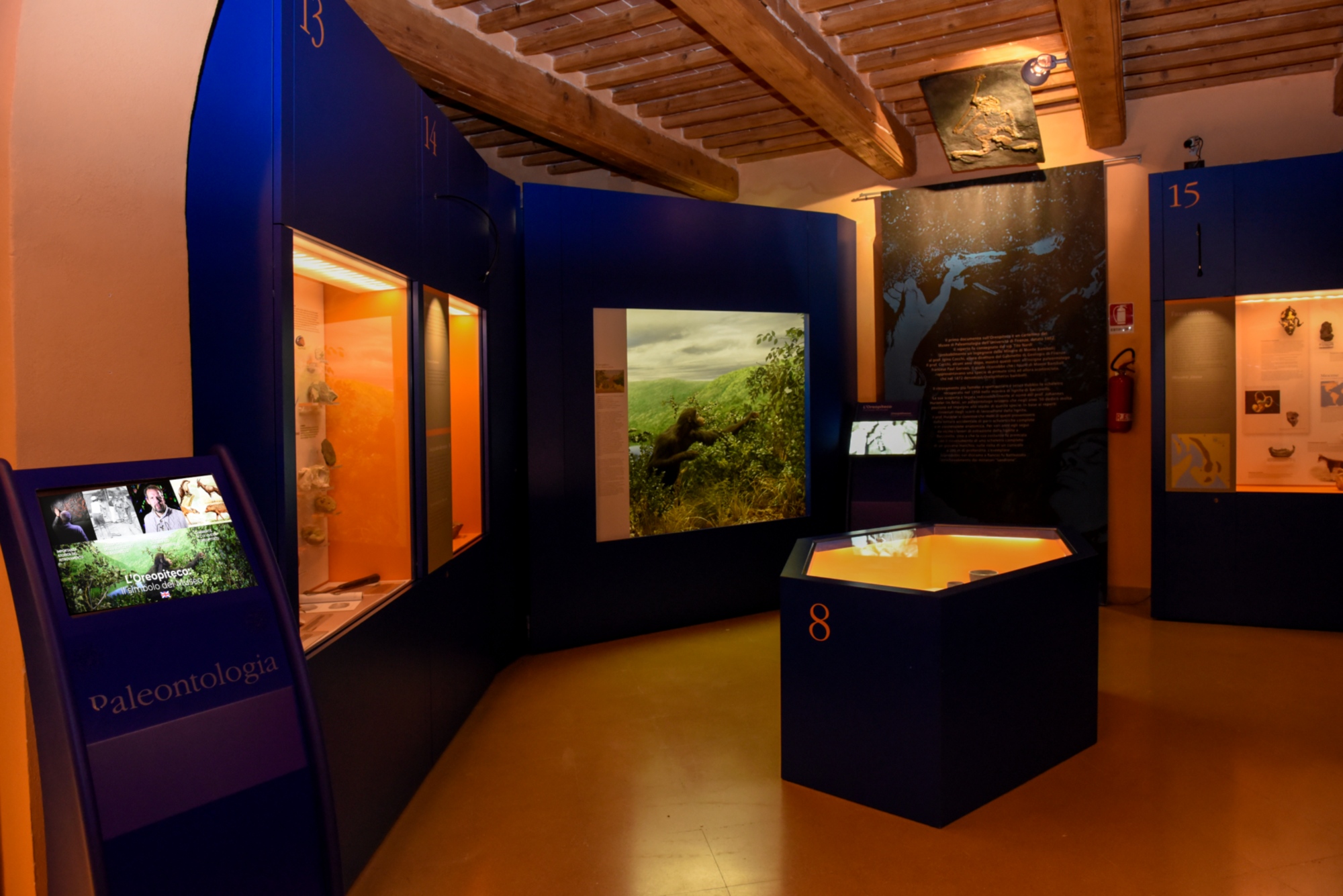 Naturkundemuseum der Maremma