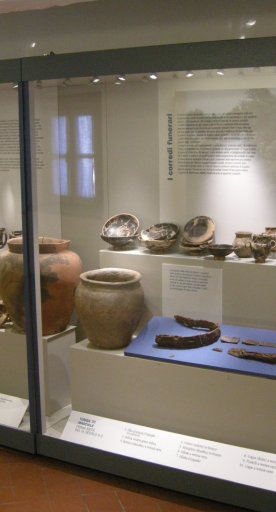 Musée archéologique de Rosignano Marittimo