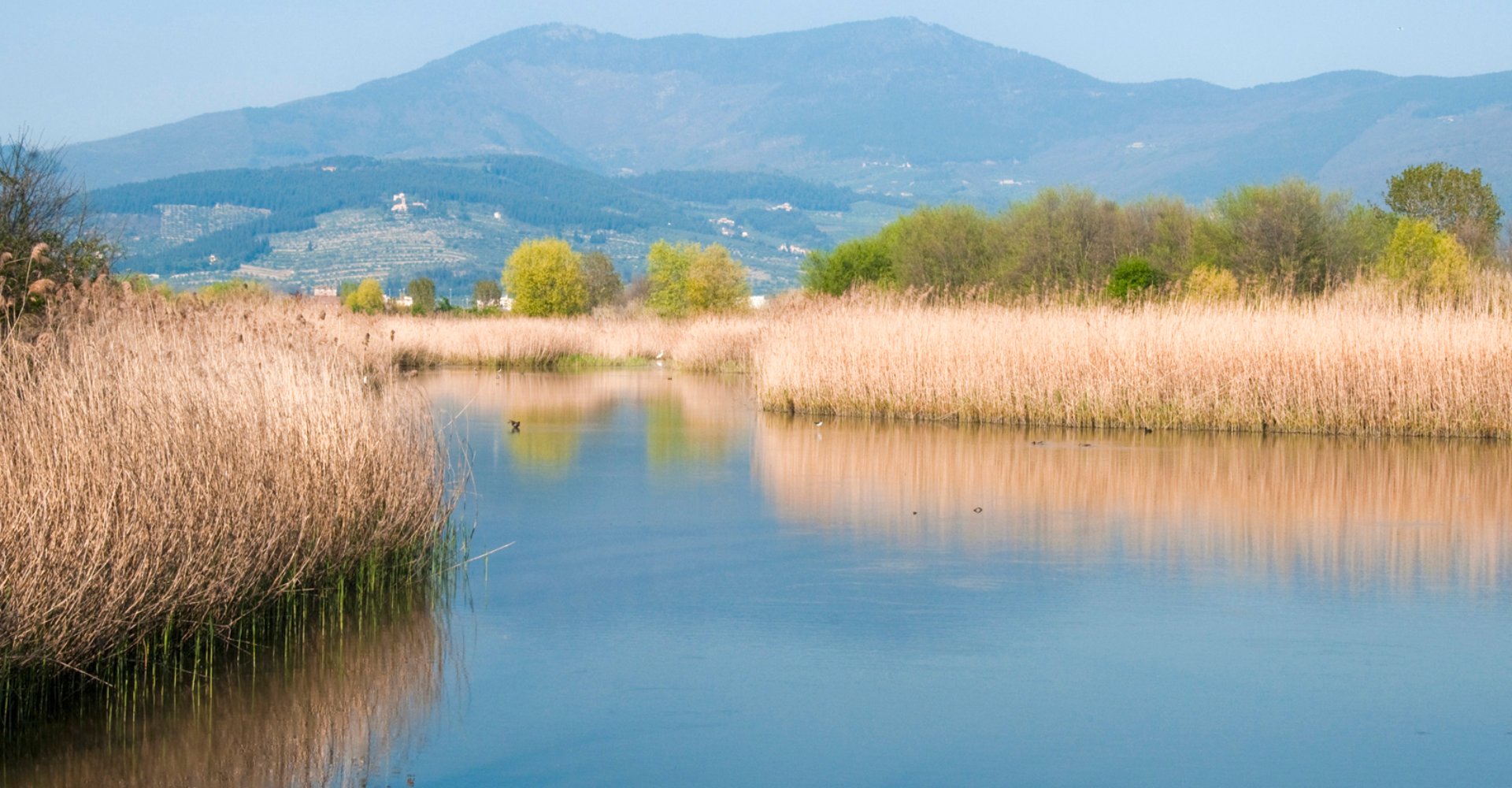 Seen-Naturschutzgebiet von Focognano in Campi Bisenzio