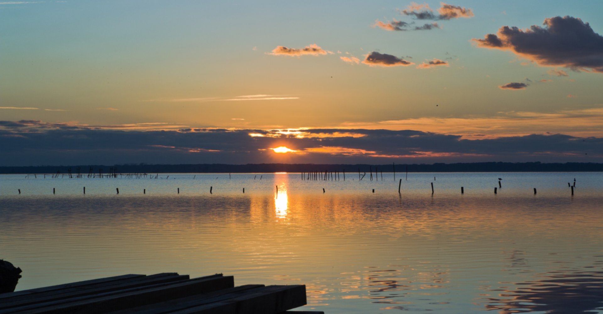 Massaciuccoli Lake at sunset
