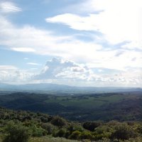 Die Landschaft bei Roccastrada