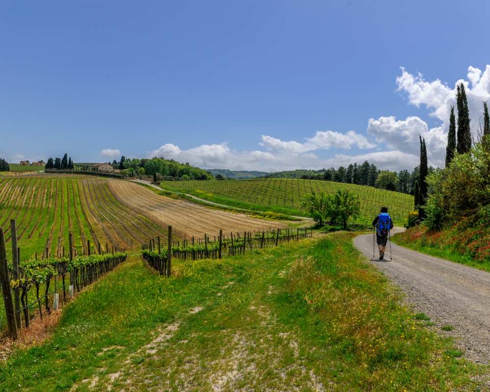 Wandern auf der Via Francigena in der Toskana