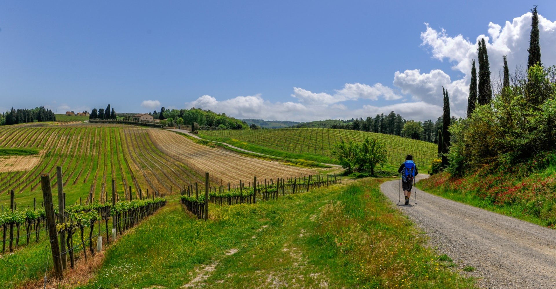 Walking along the Francigena in Tuscany