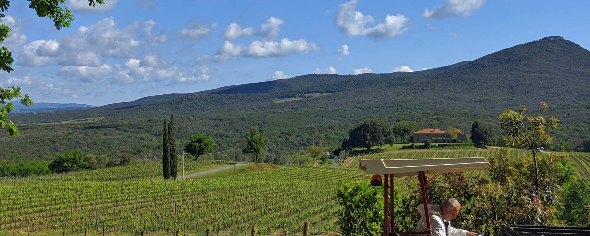 Bolgheri and Castagneto Carducci vineyards